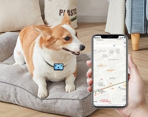 4G Pet GPS Tracker for Dogs & Cats – Waterproof & Global Coverage