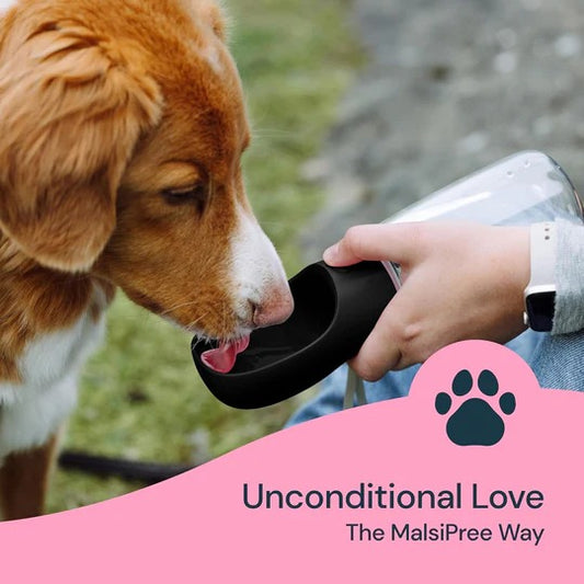 Portable Dog Water & Food BottlePortable Dog Water Bottle with Food Storage – Leak-Proof Travel Cup