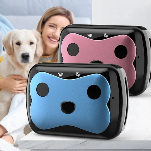 4G Pet GPS Tracker for Dogs & Cats – Waterproof & Global Coverage